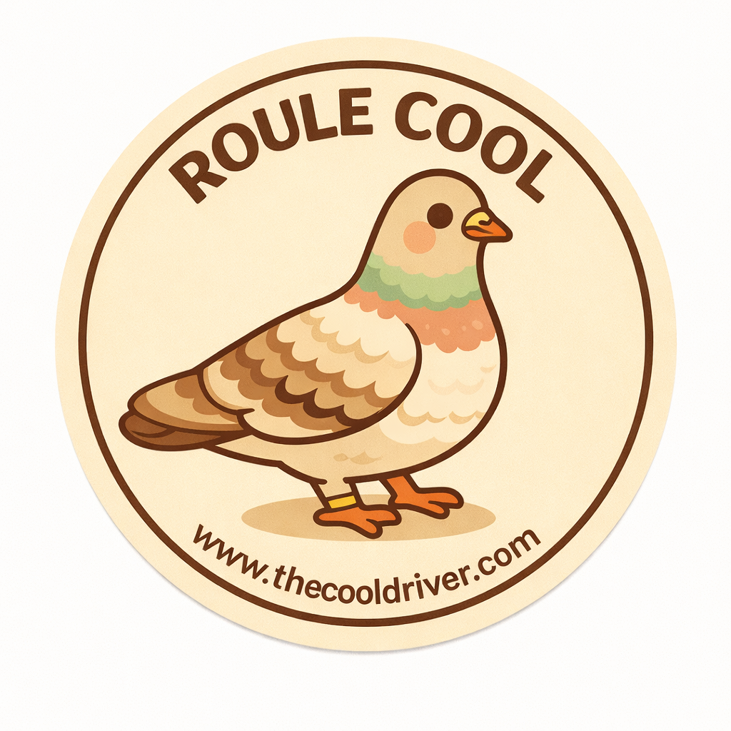 ROULE COOL